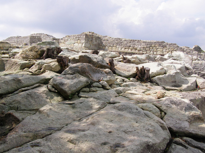 100 ���������� ������������ ������ - ����������  : c����� 6